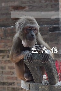 光大信用卡多久撤销征信逾期