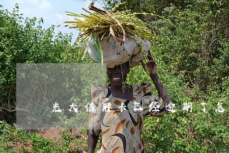 光大信用卡已经逾期了怎么办 光大信用卡已经逾期了怎么办