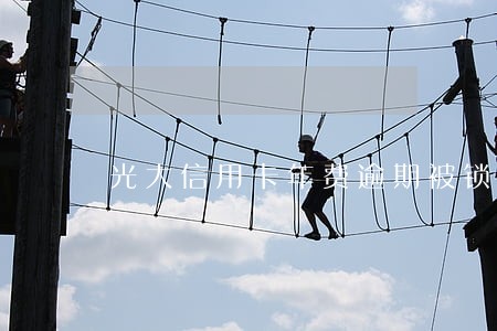 光大信用卡年费逾期被锁卡