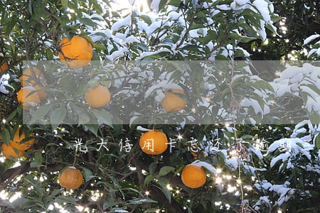 光大信用卡忘还了逾期三天 光大信用卡忘还了逾期三天