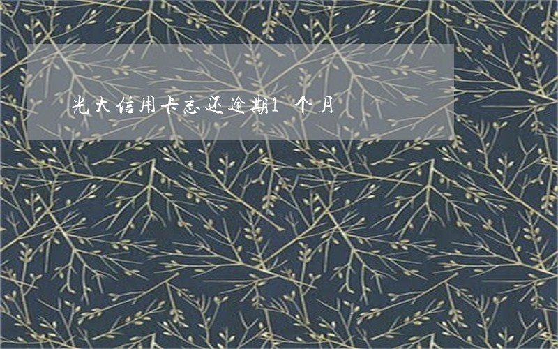 光大信用卡忘还逾期1个月 光大信用卡忘还逾期1个月