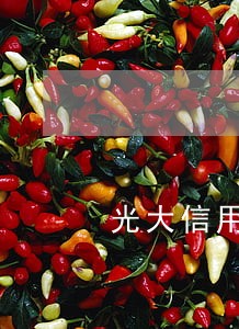 光大信用卡怎么查看是否逾期 光大信用卡怎么查看是否逾期
