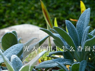 光大信用卡怎么查询是否逾期 光大信用卡怎么查询是否逾期
