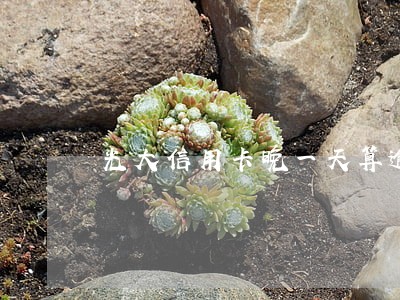 光大信用卡晚一天算逾期吗 光大信用卡晚一天算逾期吗