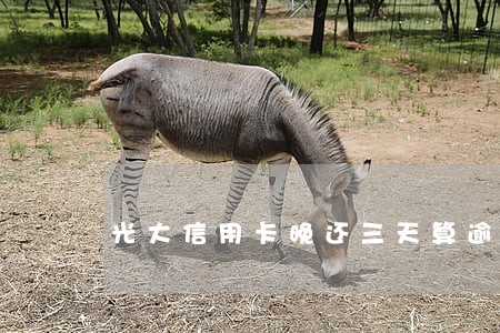 光大信用卡晚还三天算逾期吗 光大信用卡晚还三天算逾期吗