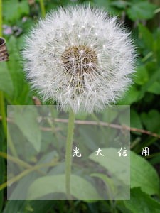 光大信用卡有过一次逾期 光大信用卡有过一次逾期