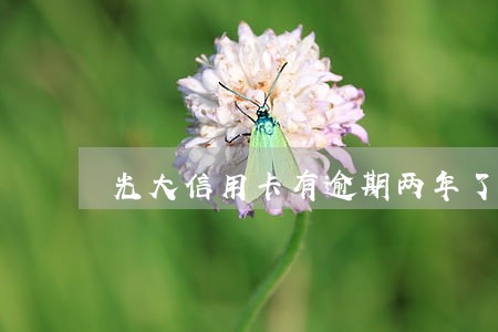 光大信用卡有逾期两年了怎么协商