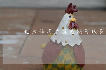 光大信用卡有逾期可以买房吗 光大信用卡有逾期可以买房吗