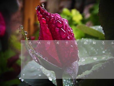 光大信用卡有逾期怎么协商 光大信用卡有逾期怎么协商