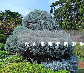 光大信用卡有逾期能协商吗 光大信用卡有逾期能协商吗