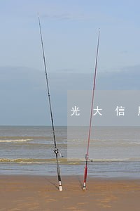 光大信用卡欠2万逾期5年 光大信用卡欠2万逾期5年