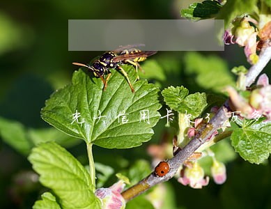 光大信用卡欠3万多逾期7个月