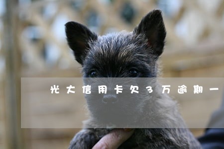 光大信用卡欠3万逾期一年了 光大信用卡欠3万逾期一年了