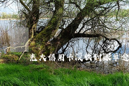 光大信用卡没收到账单逾期 光大信用卡没收到账单逾期