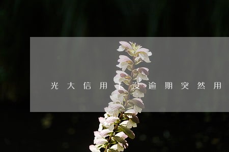 光大信用卡没逾期突然用不了 光大信用卡没逾期突然用不了