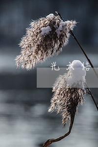 光大信用卡法院传票 光大信用卡法院传票