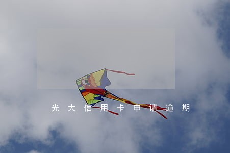 光大信用卡申请逾期