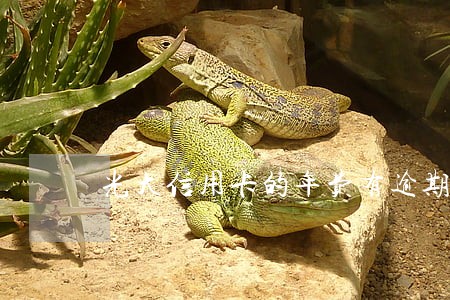 光大信用卡的年费有逾期 光大信用卡的年费有逾期