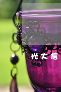 光大信用卡美元逾期征信记录 光大信用卡美元逾期征信记录