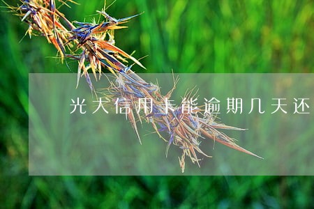 光大信用卡能逾期几天还款 光大信用卡能逾期几天还款