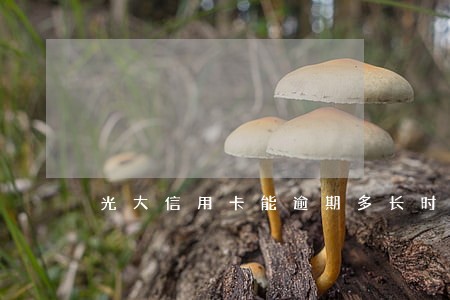 光大信用卡能逾期多长时间 光大信用卡能逾期多长时间