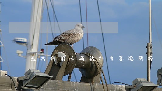 光大信用卡还款7号算逾期吗 光大信用卡还款7号算逾期吗