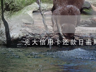 光大信用卡还款日逾期 光大信用卡还款日逾期