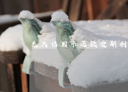 光大信用卡还款逾期利息 光大信用卡还款逾期利息