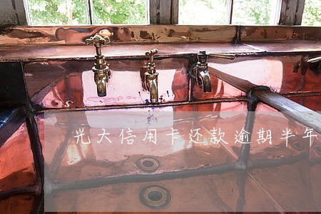 光大信用卡还款逾期半年 光大信用卡还款逾期半年