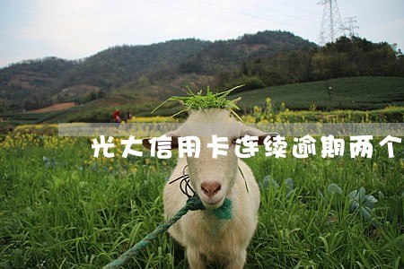 光大信用卡连续逾期两个月封卡 光大信用卡连续逾期两个月封卡
