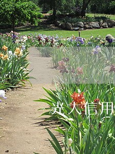 光大信用卡迟两天算逾期吗