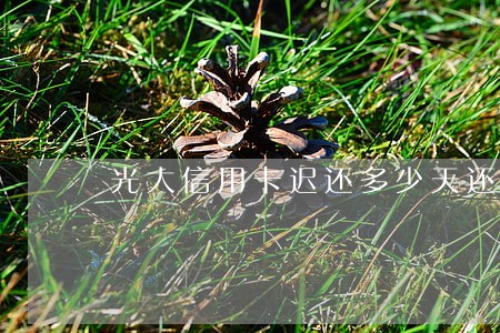 光大信用卡迟还多少天还算逾期