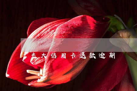 光大信用卡退款逾期 光大信用卡退款逾期
