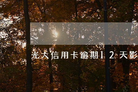 光大信用卡逾期12天影响征信吗 光大信用卡逾期12天影响征信吗