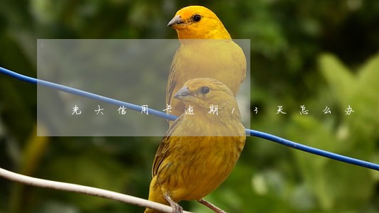 光大信用卡逾期13天怎么办 光大信用卡逾期13天怎么办
