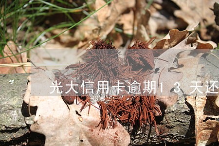 光大信用卡逾期13天还款 光大信用卡逾期13天还款