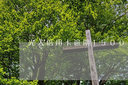 光大信用卡逾期1500元 光大信用卡逾期1500元