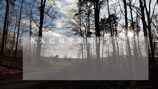 光大信用卡逾期15万 光大信用卡逾期15万