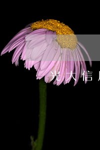 光大信用卡逾期15天打电话催款 光大信用卡逾期15天打电话催款