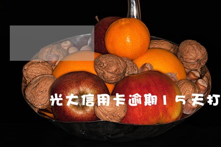 光大信用卡逾期15天打联系人 光大信用卡逾期15天打联系人