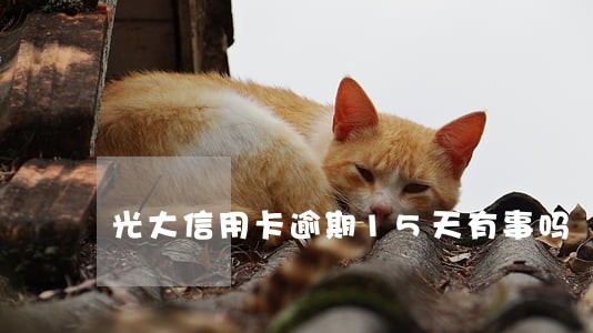 光大信用卡逾期15天有事吗 光大信用卡逾期15天有事吗