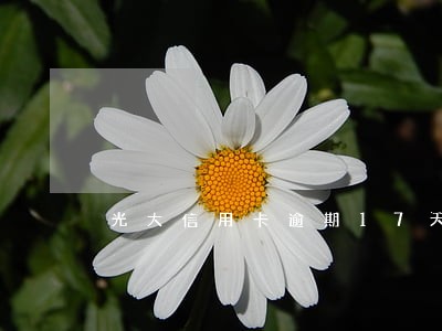 光大信用卡逾期17天怎么解决