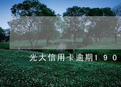 光大信用卡逾期19000元 光大信用卡逾期19000元