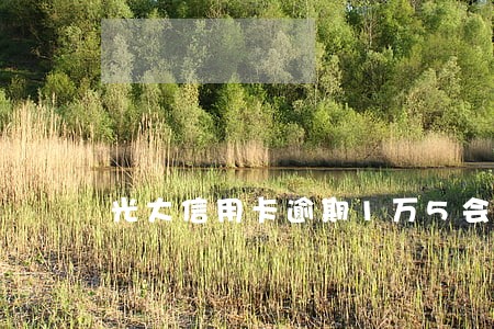 光大信用卡逾期1万5会坐牢 光大信用卡逾期1万5会坐牢