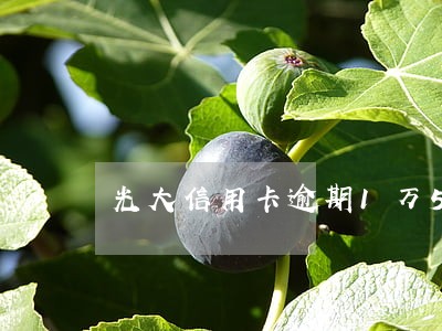 光大信用卡逾期1万5半年 光大信用卡逾期1万5半年