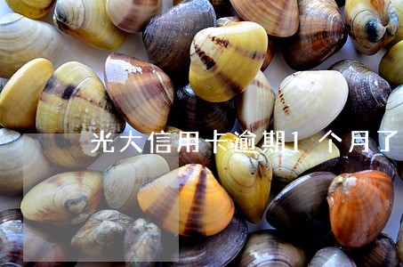 光大信用卡逾期1个月了