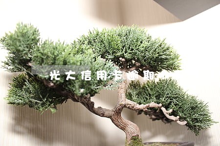 光大信用卡逾期1天未还 光大信用卡逾期1天未还