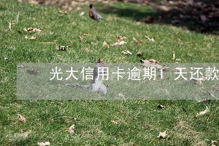光大信用卡逾期1天还款后果 光大信用卡逾期1天还款后果