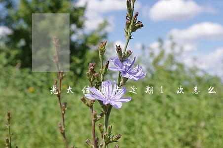 光大信用卡逾期1次怎么办