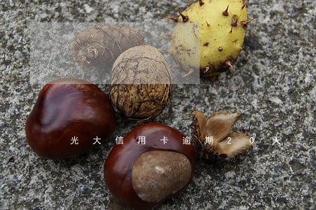 光大信用卡逾期20天 光大信用卡逾期20天